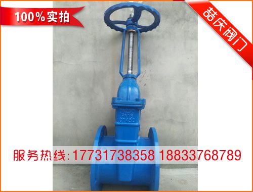 DN250明桿軟密封閘閥